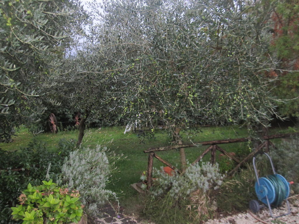Santa Croce Villa Fossato di Vico Buitenkant foto