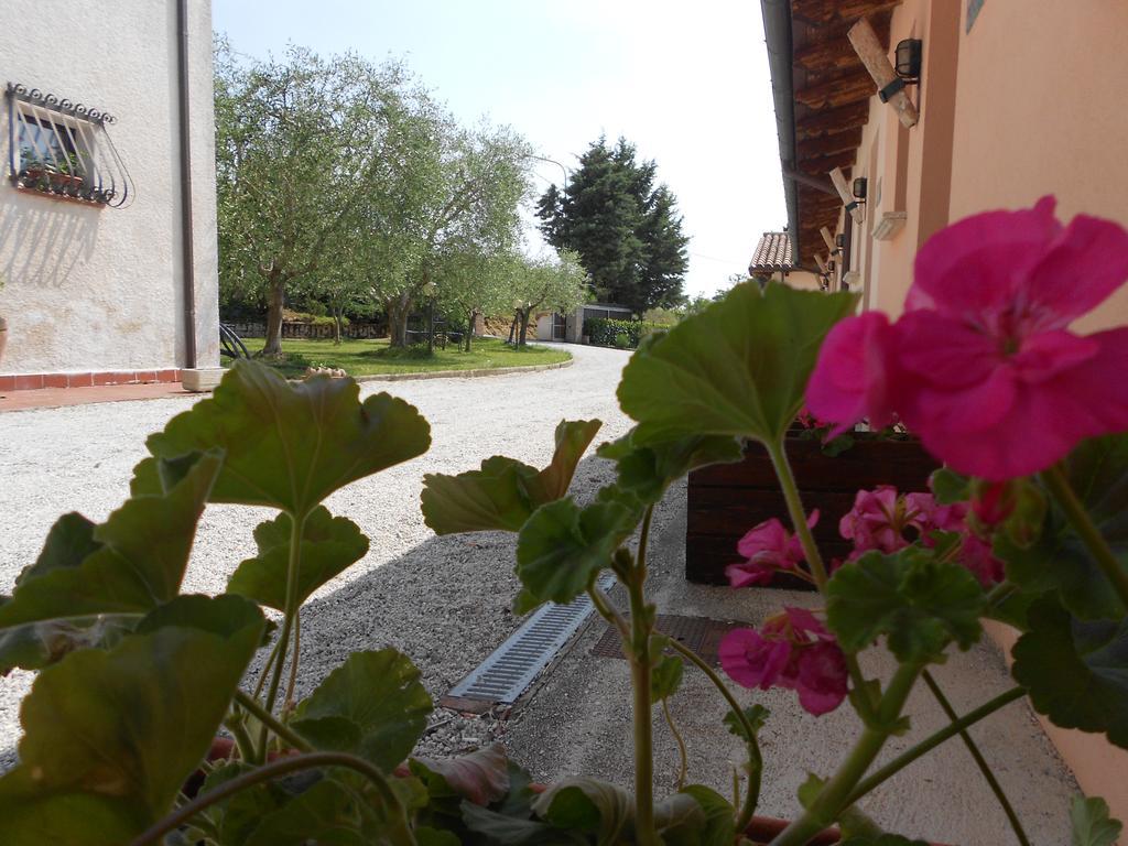 Santa Croce Villa Fossato di Vico Buitenkant foto